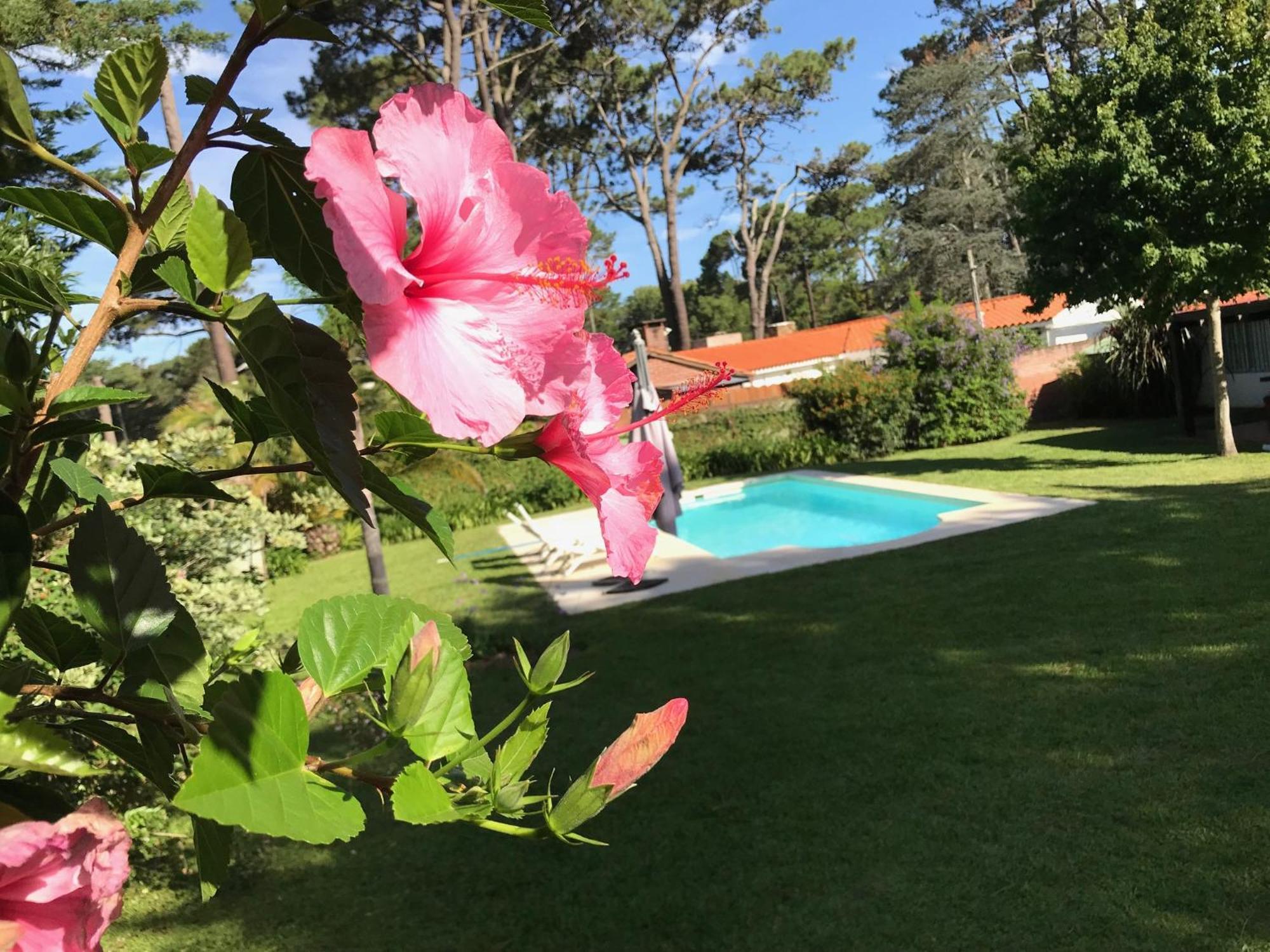 El Gauchito Villa Punta del Este Exteriör bild